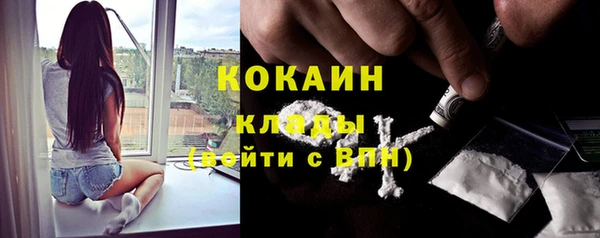 гашик Вяземский