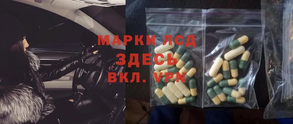 гашик Вяземский