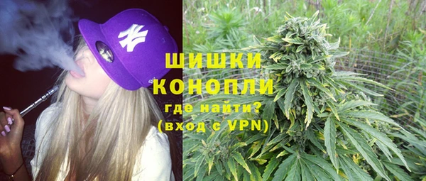 гашик Вяземский