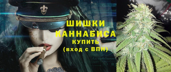 гашик Вяземский