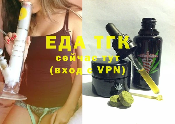 гашик Вяземский