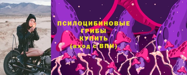 гашик Вяземский