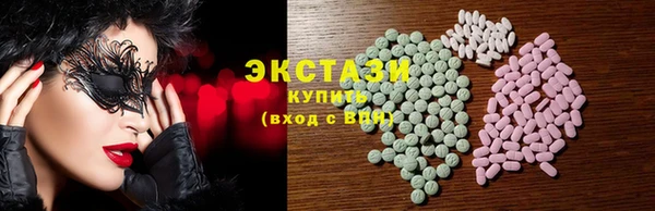 гашик Вяземский