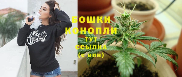 гашик Вяземский