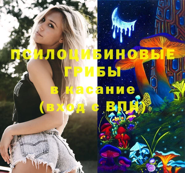 гашик Вяземский