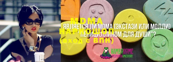 гашик Вяземский