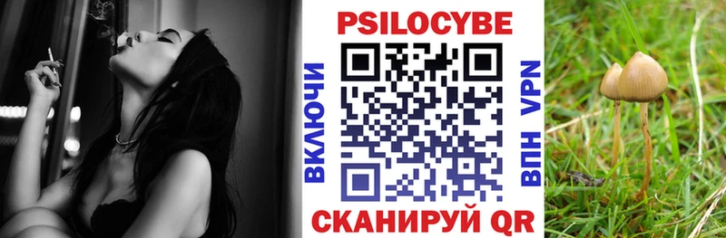 Купить  Пыталово  Галлюциногенные грибы мухоморы 